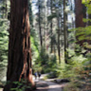 Meet your Posher, Max